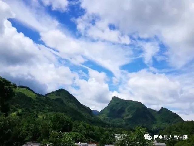 助力脱贫攻坚，鸳鸯池优质高山吊袋木耳等您品尝