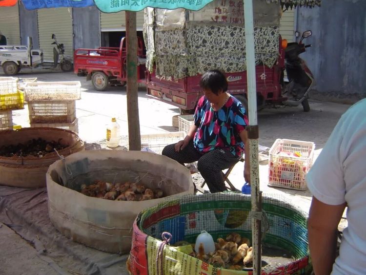 热闹的农村小院,八十年代农村集市