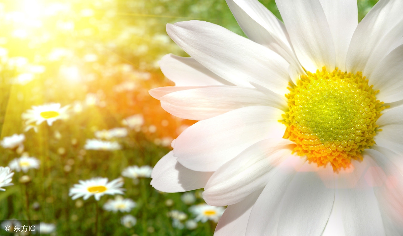 原来女人一辈子不容易,女人长命的秘诀