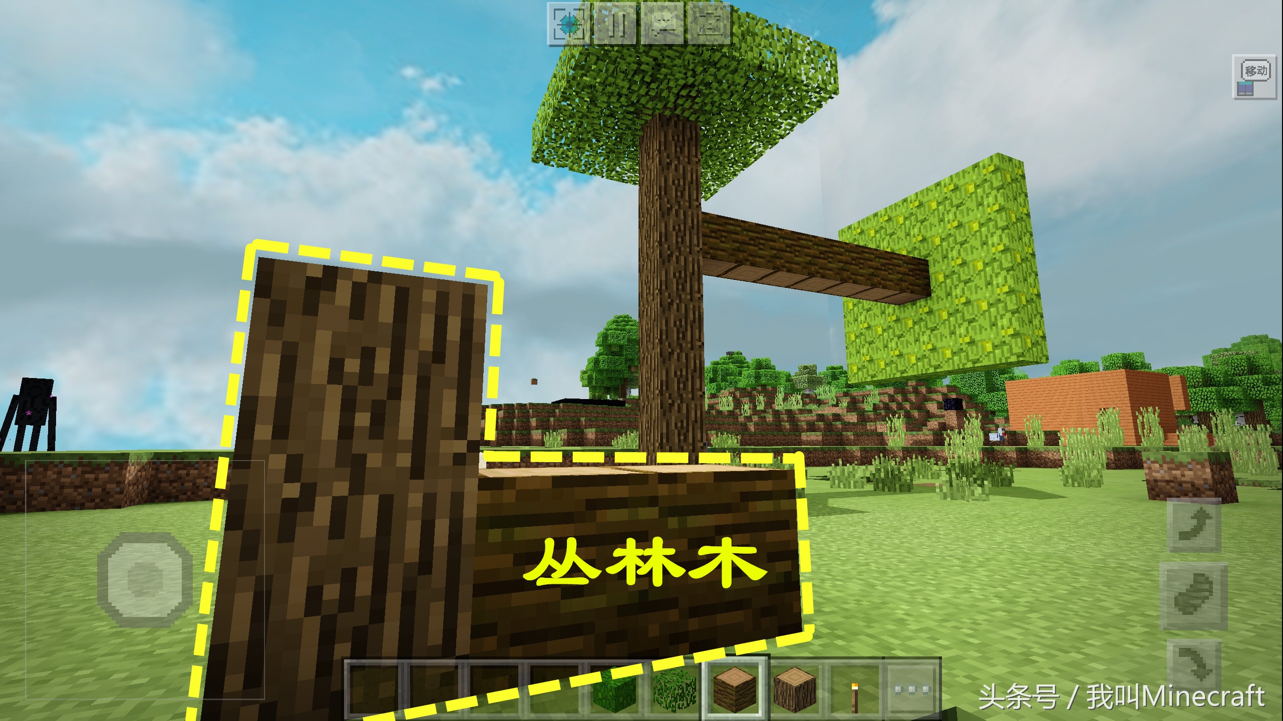 我的世界强迫症必看,我的世界强迫症必看的100个视频