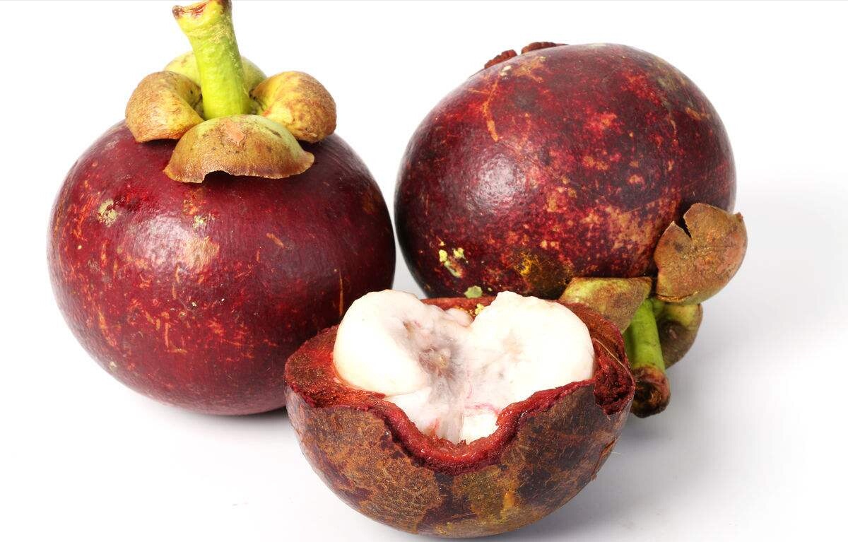 山竹不适合哪些人吃,请问山竹什么样的人不能吃