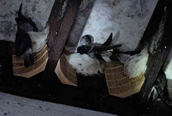 这么贵的东西你会买吗,这么贵的东西真的有人买吗