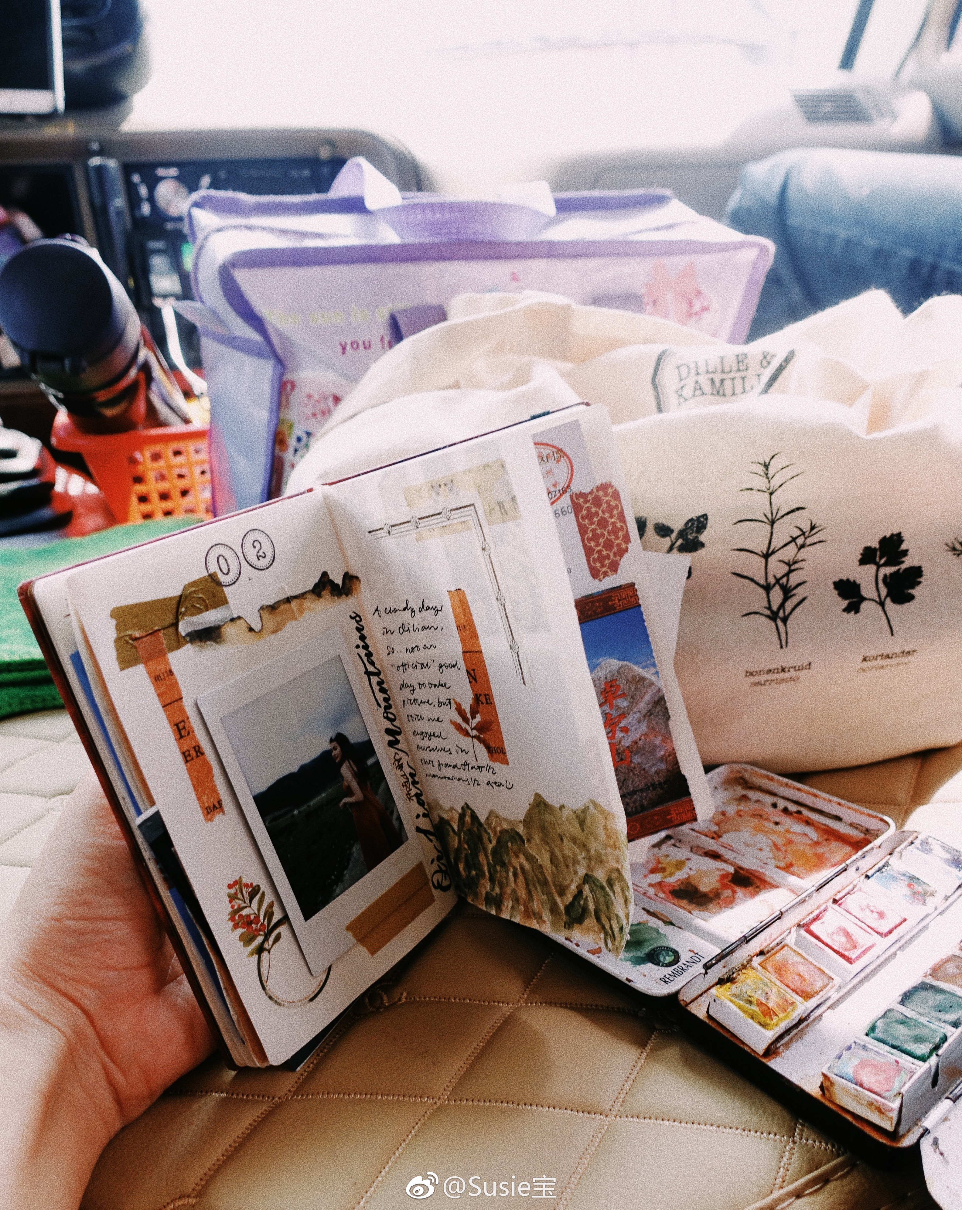 科普手帐,手帐必知道的知识