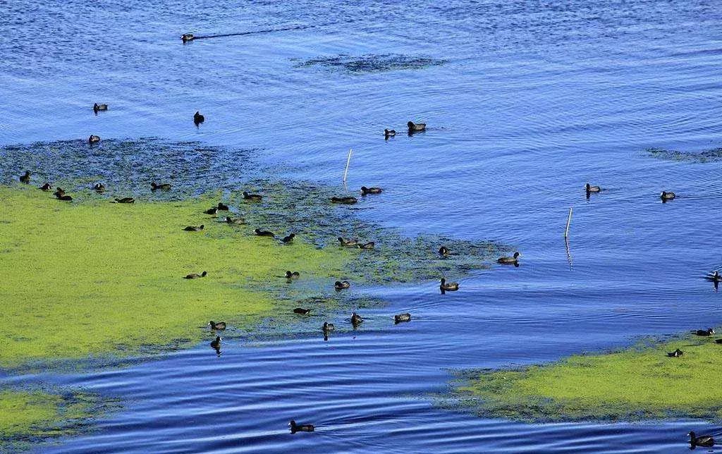 江南绝美小镇,江南小镇意境