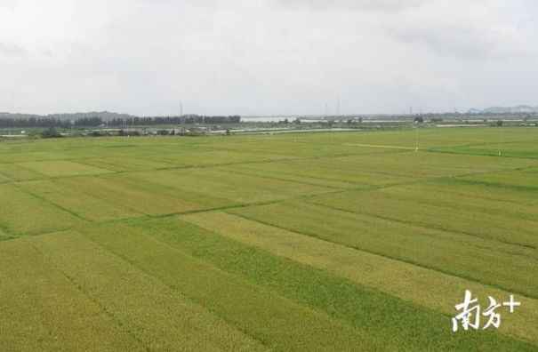 江湛高铁湛江站,江湛铁路湛江
