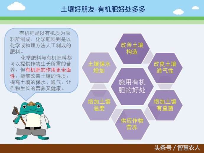 鸡粪发酵有机肥最简单的方法,鸡粪如何发酵有机肥