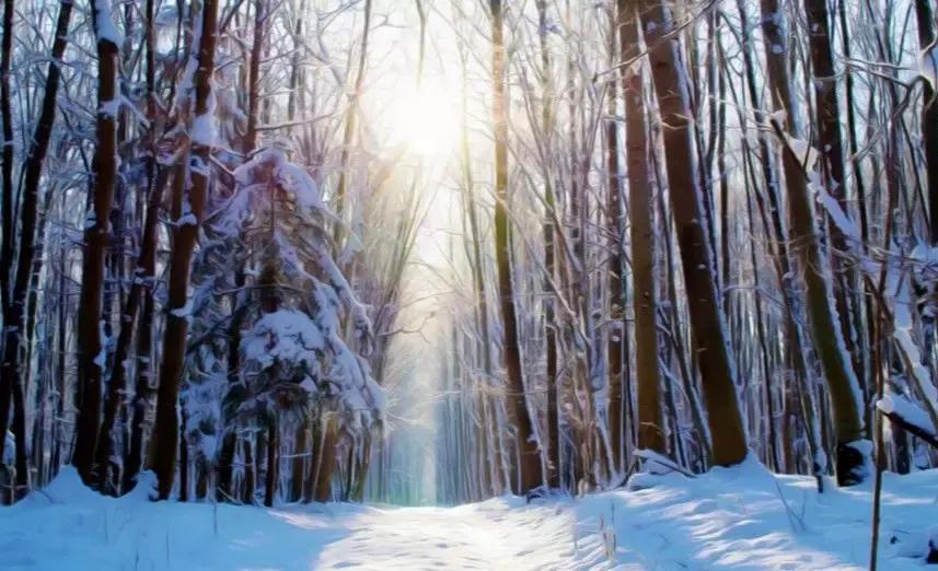 描写春夏秋冬的古诗和成语,描写春夏秋冬的古诗和四字成语