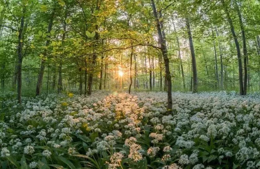 描写春夏秋冬的古诗和成语,描写春夏秋冬的古诗和四字成语