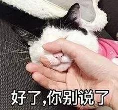 知道了”说Iknow,你会把人惹毛的!