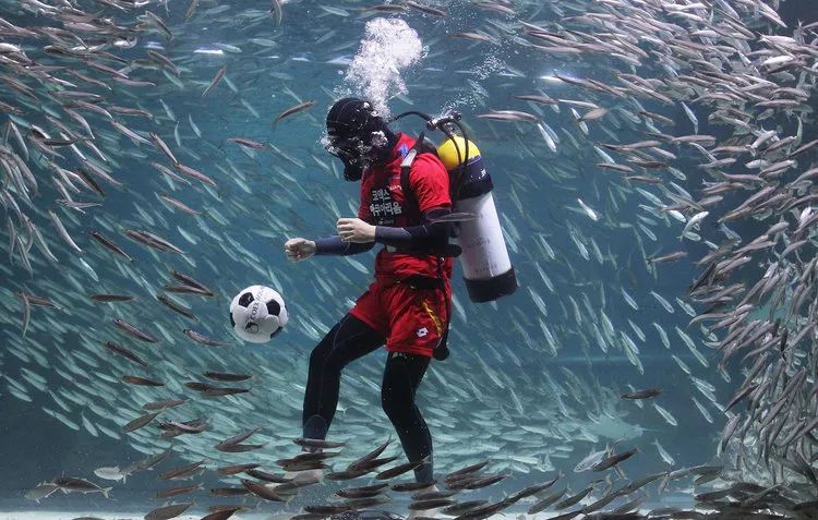 俄罗斯世界杯32强图,2023年俄罗斯gdp世界排名