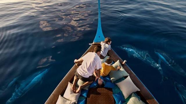 马尔代夫亲子游攻略,麦兜马尔代夫旅游攻略