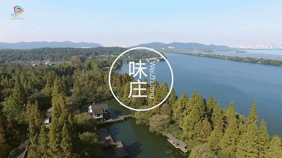 杭州知味观味庄的石橄榄老鸭汤,杭州知味观味庄哪家好吃