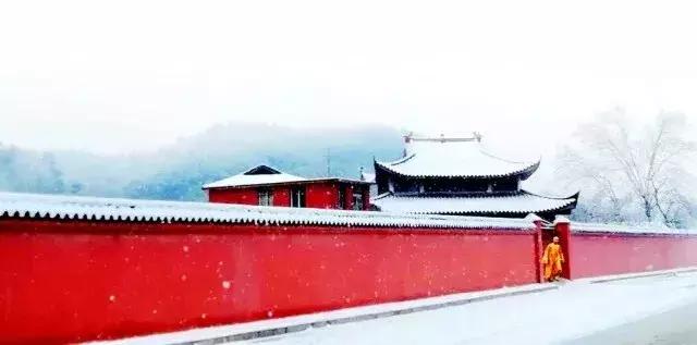 从A到Z,26个字母,陪你领略赣北德安的热辣风情!