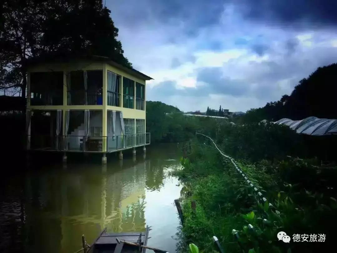 从A到Z,26个字母,陪你领略赣北德安的热辣风情!