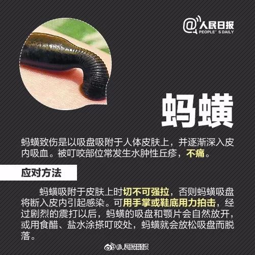 广西一女子被蚂蚁咬伤后不幸身亡,女子被蚂蚁咬伤后续