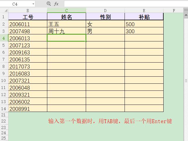 wpsexcel数据录入,wpsexcel怎样快速录入资料