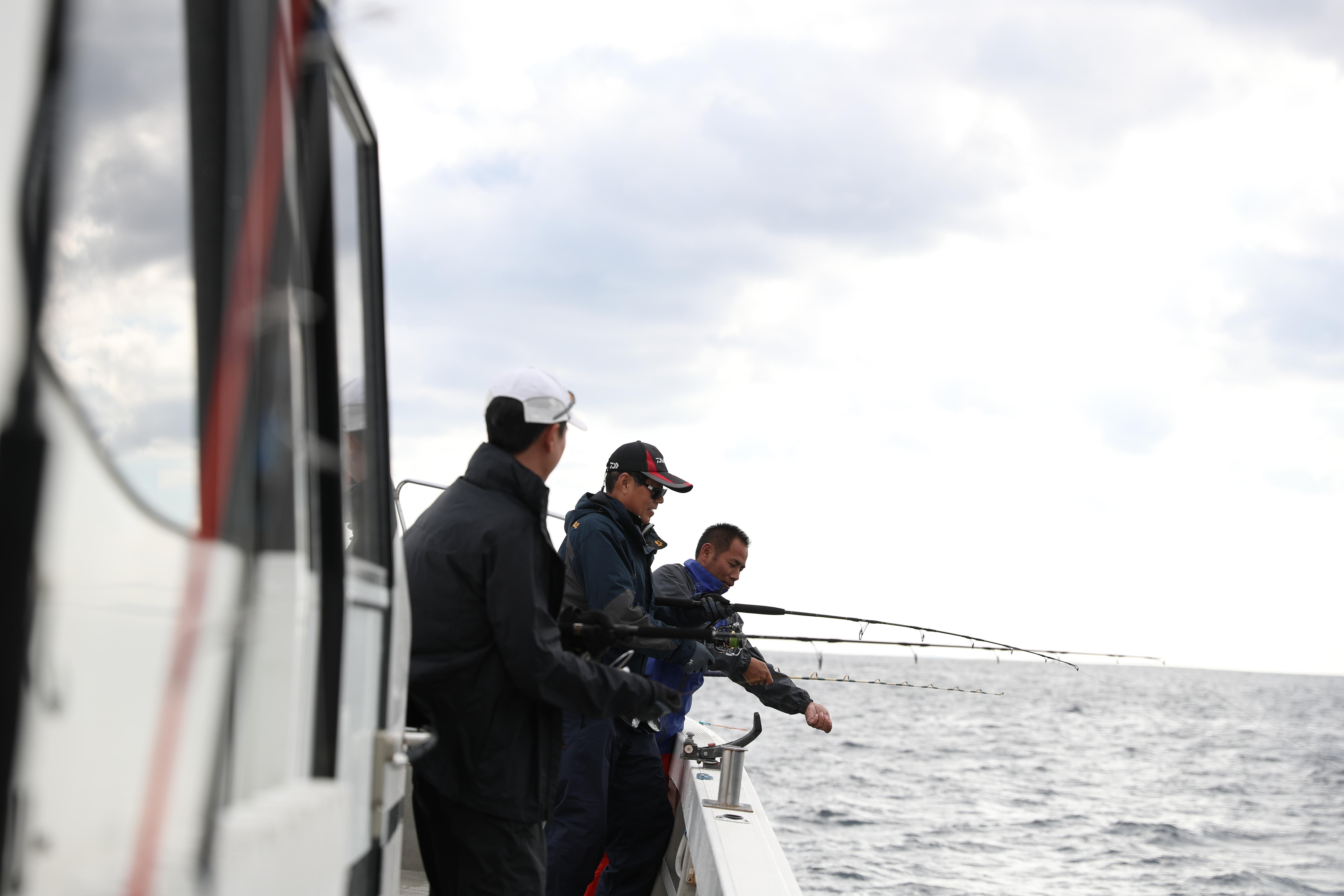日本海域惊现神秘生物,日本近海发现巨大海洋生物