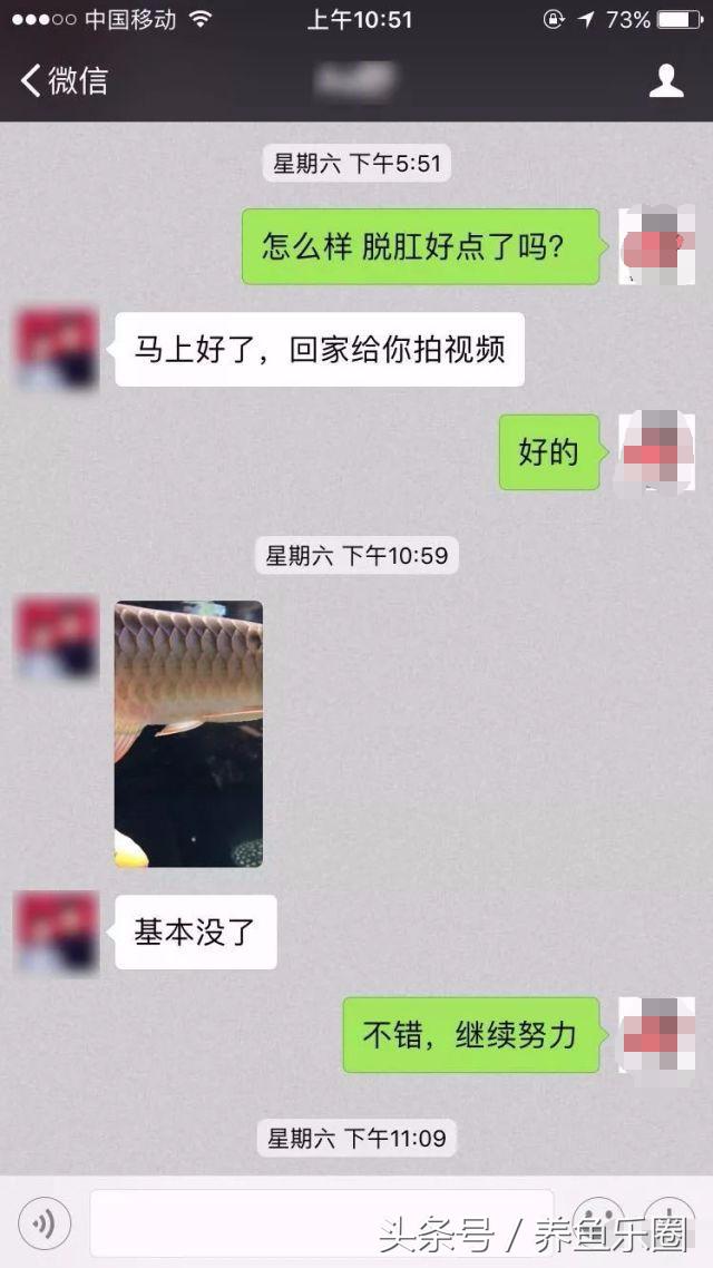 龙鱼脱肛用土霉素还是痢特灵好,龙鱼脱肛后之前的食物能吃吗