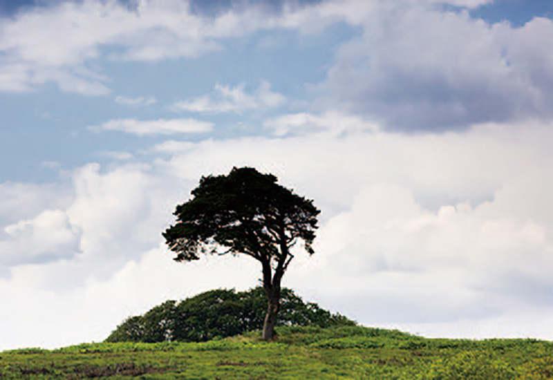 望远镜视场角度,视场角参数对照表