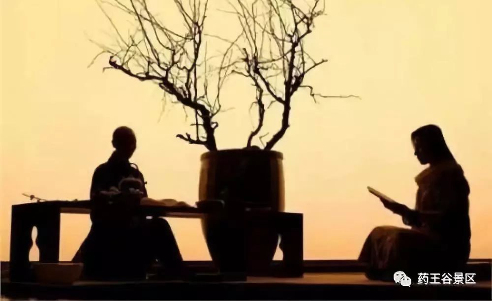 夏至来临，气温攀升，药王谷220两天一夜欢乐避暑体验！黑森林/森林花海/地心峡/水世界……