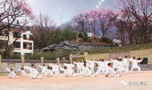 夏至来临，气温攀升，药王谷220两天一夜欢乐避暑体验！黑森林/森林花海/地心峡/水世界……