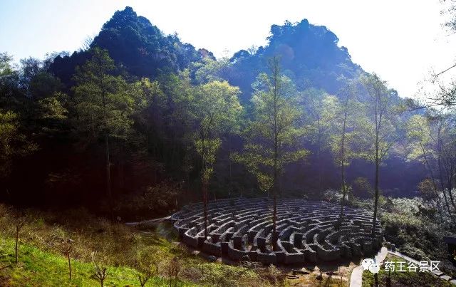 夏至来临，气温攀升，药王谷220两天一夜欢乐避暑体验！黑森林/森林花海/地心峡/水世界……