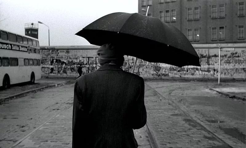 你看见穿过草地从雾中飘来的死气了吗｜罗伯特·瓦尔泽