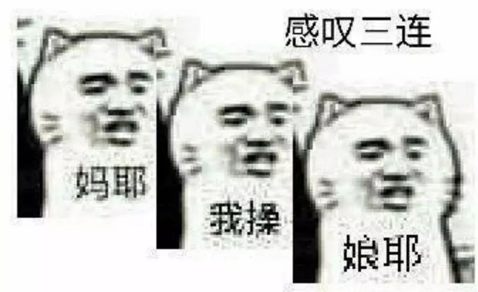 啊啊啊救命啊！我从来没有见过这么可爱的小玩意儿！