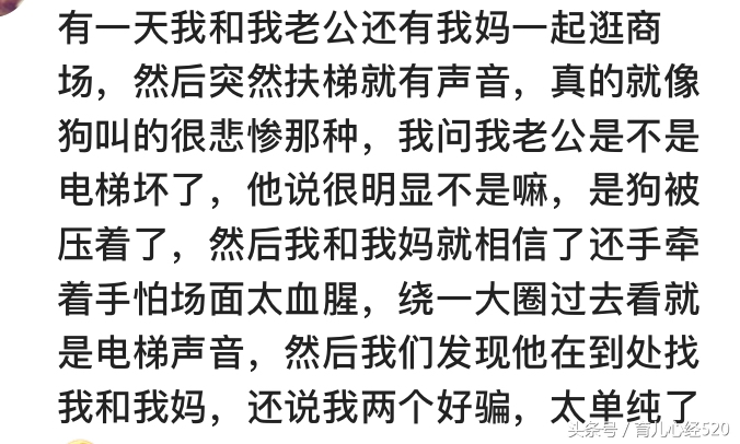 有个傻萌的老婆是什么体验,有一个呆萌的媳妇是什么样的体验
