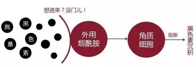 大s美白淡斑套装,大s同款美白饮推荐