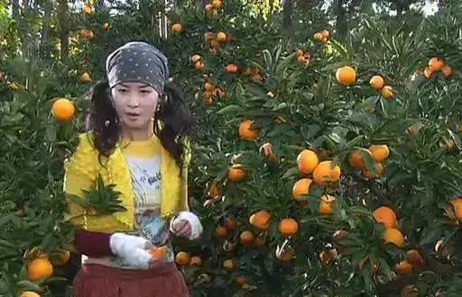 跟着韩剧游首尔,跟着影视去打卡