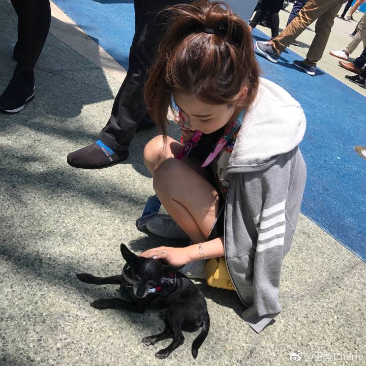 王思聪前女友雪梨个人简介,王思聪前女友雪梨的发家史