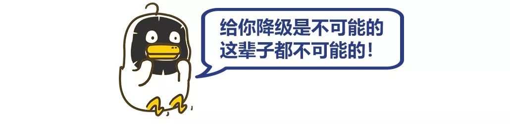 iOS11.4出现相机故障，网友直播虐猫还收费，微信下架拼房小程序｜科技BB鸭