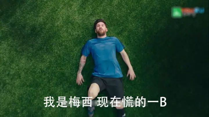 iOS11.4出现相机故障，网友直播虐猫还收费，微信下架拼房小程序｜科技BB鸭