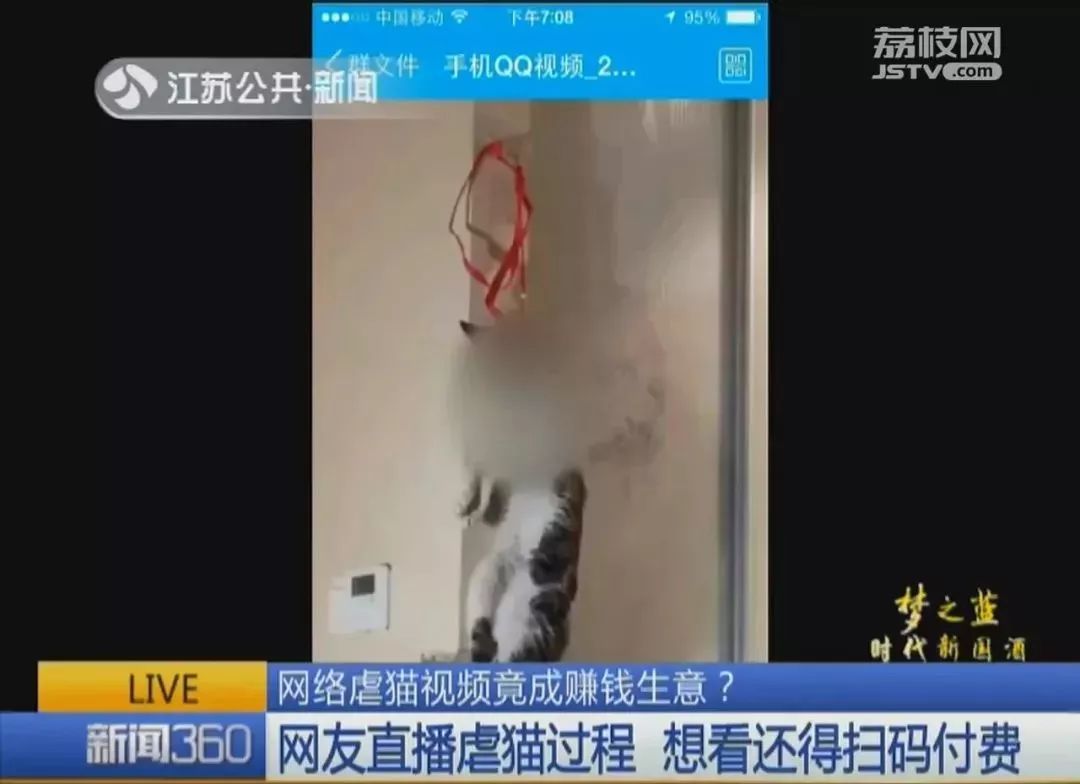 iOS11.4出现相机故障，网友直播虐猫还收费，微信下架拼房小程序｜科技BB鸭