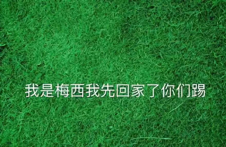 iOS11.4出现相机故障，网友直播虐猫还收费，微信下架拼房小程序｜科技BB鸭