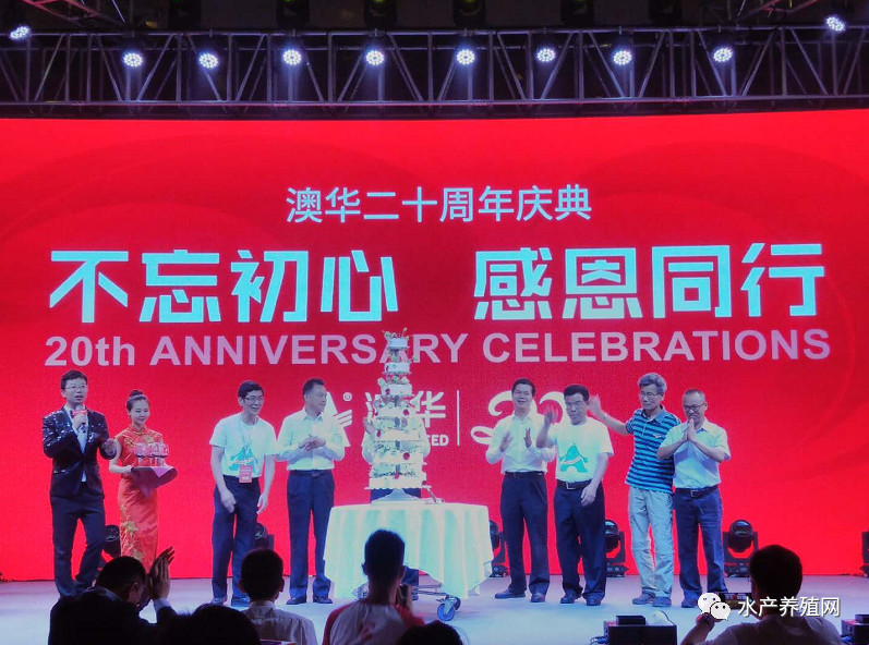 澳华总裁,澳华集团董事长许愿斌