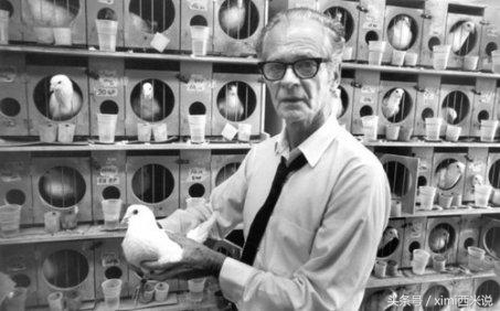 世界杯没意思,世界杯不懂球却把规则看懂了