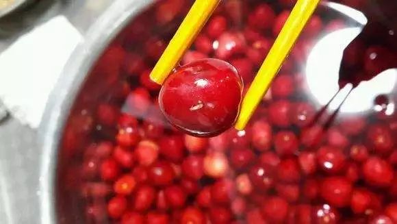 杨梅洗出虫子的视频,杨梅泡出大白虫子