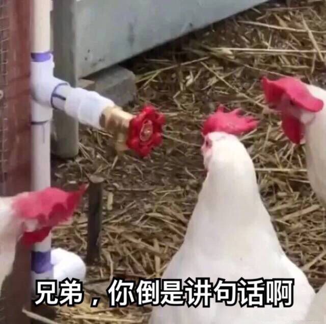 撸蛇、鸡婆、藏镜人……这些奇奇怪怪的台湾译名都是啥意思？