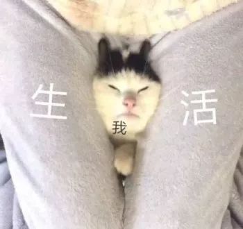 撸蛇、鸡婆、藏镜人……这些奇奇怪怪的台湾译名都是啥意思？