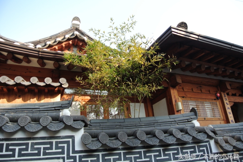 韩国旅游攻略自由行高端,韩国旅游自由行攻略