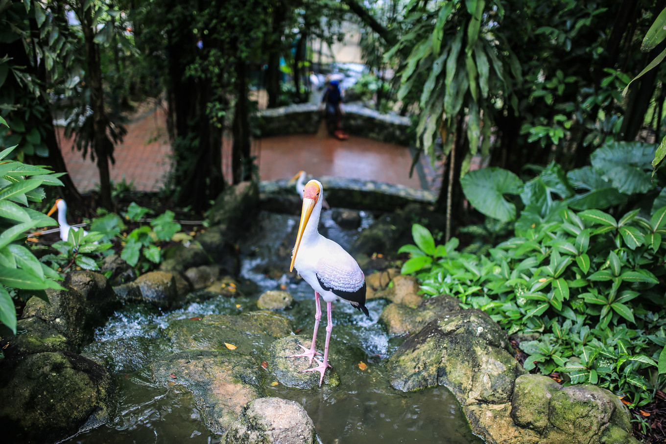 新加坡马来西亚亲子游攻略,马来西亚亲子游自由行旅游攻略