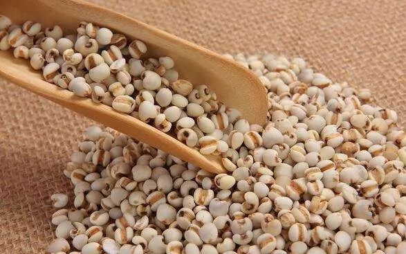 后天就入伏啦!不骗你!这周还有两场雨,江都暂不考虑出梅……