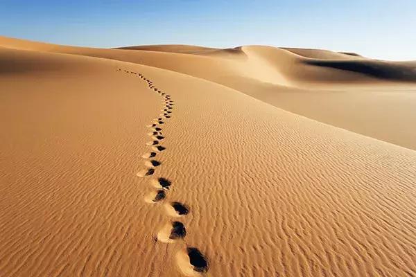 每日一字粮,每日一字泊