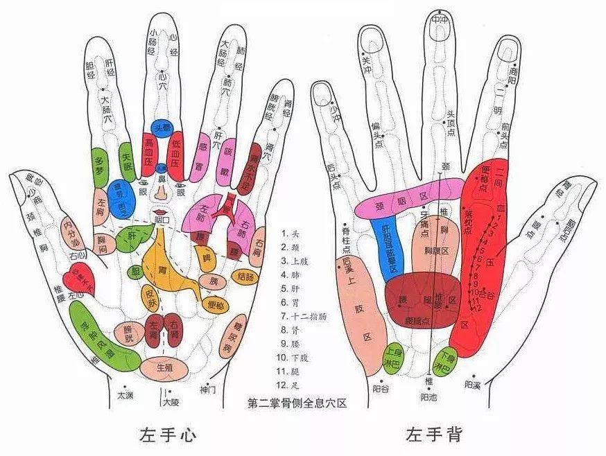 手健康有多重要,手健康的表现