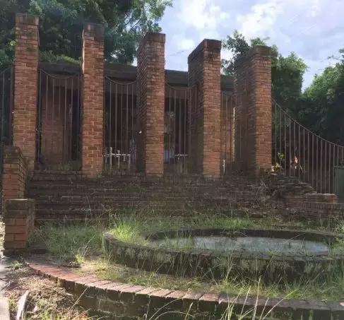 澳洲未解之谜,它又出现了!幽灵猫现,必有血案!