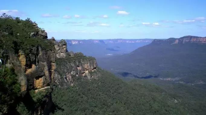 澳洲未解之谜,它又出现了!幽灵猫现,必有血案!