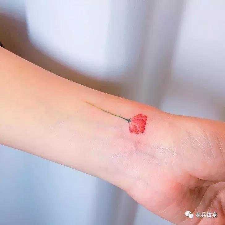 纹身素材视频,纹身素描手稿线条