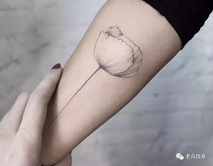 纹身素材视频,纹身素描手稿线条